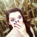 thetranscendentalists avatar