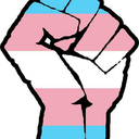 thetranssurvivors avatar