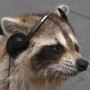 thetrashraccoonn avatar