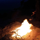 thetravelingpinapple20 avatar