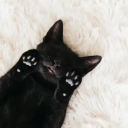 thetravellingblackcat-blog avatar