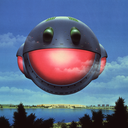 thetreeinthesky avatar