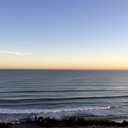 thetrend-setter avatar