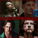 thetricksterwithwings avatar