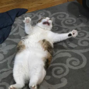 thetruecummonster avatar