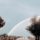 thetruthofthesun avatar