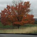 thetruthoftheworld994 avatar