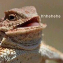 thetumbler69me avatar