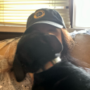 thetumblybits avatar