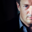 theturtleinthecastle avatar