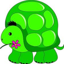 theturtlelynn avatar