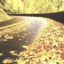 thetwinsofevil avatar