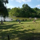 theultimateview avatar