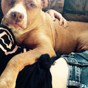 theunbreakablehasfinallybroken avatar