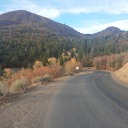 theundead-ghost avatar