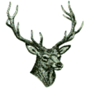 theunicornwings avatar