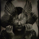 theuniversemocksme-blog avatar