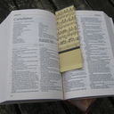 theuniverseofbook avatar