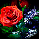 theunlickedcub avatar