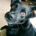 theunnamedone avatar