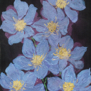 theunshedtears avatar