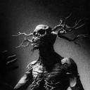 theunspokenvoid avatar