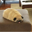 theunsurepotato avatar