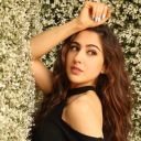 thevaaniiofcrirtha avatar