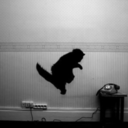 theverypeakofourdesperatelove avatar