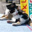 thevictorgrantz avatar