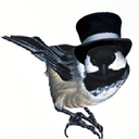 thevictoriansongbird avatar