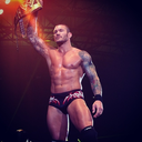 thevipersgirl avatar