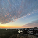 thevoicesofsoul avatar