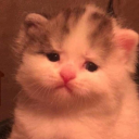 thevoidisshoutingback avatar