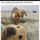 thevoidlurker367 avatar