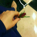 thewalking-blog avatar