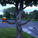 thewalkinggurl avatar