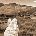 thewalkingvalley avatar