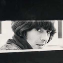 thewalrusrevolution-blog avatar