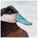 thewaterbirds avatar