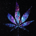 theweedfeed-420-blog avatar