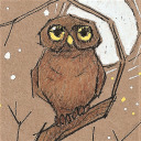 theweeowlart avatar