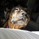 theweightgames avatar