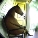 theweirdooftheinternetstell avatar