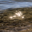 thewhateverclub avatar