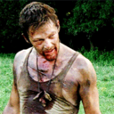 thewhiskerswithin-blog avatar