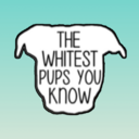 thewhitestpupsyouknow avatar