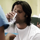 thewhumperflyeffect avatar