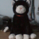 thewickedblackcat avatar