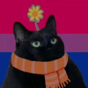 thewilddreamerrr avatar